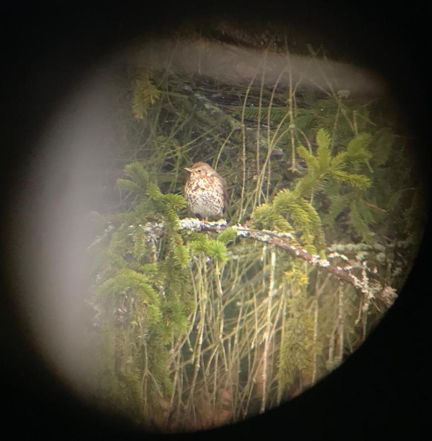 Rudle Villa Swierkocin  Buitenkant foto
