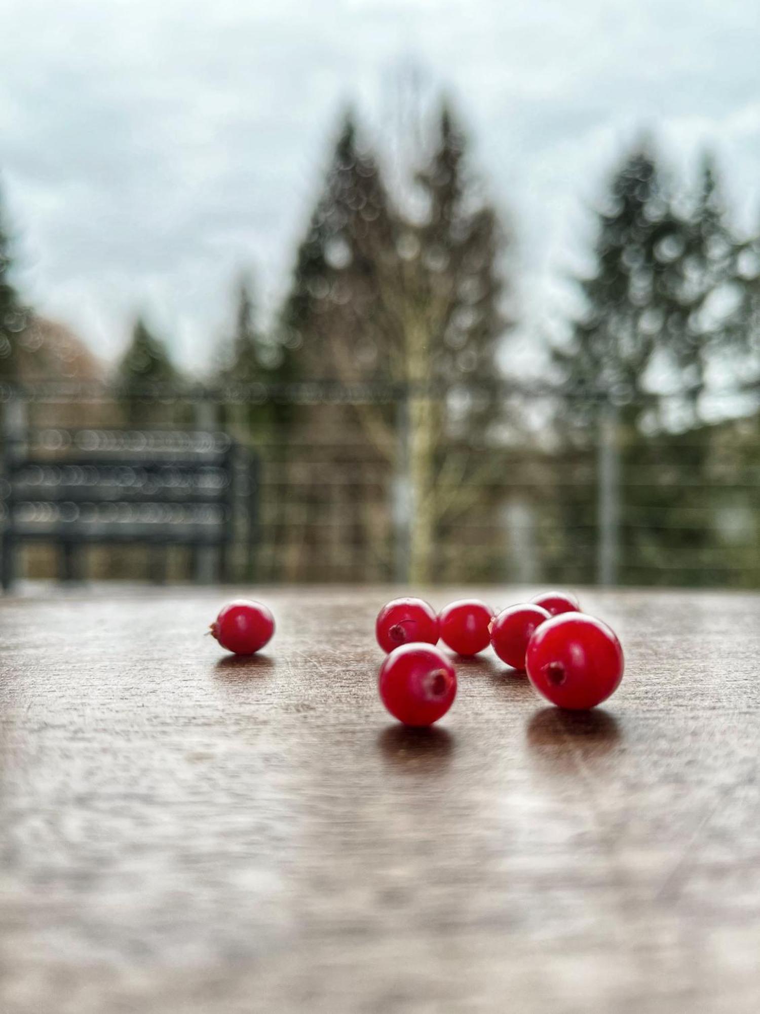 Rudle Villa Swierkocin  Buitenkant foto
